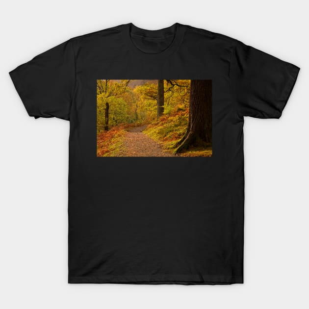 Autumn Trees at Ullswater T-Shirt by MartynUK